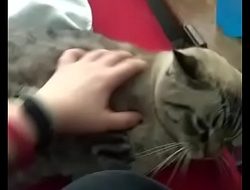 Pussy gets rubbed
